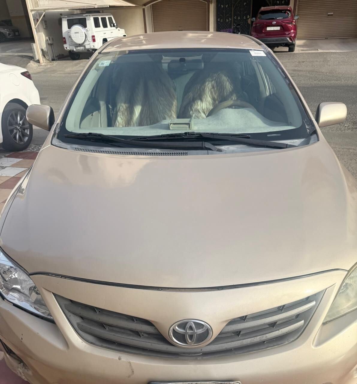 SAR 20000, Toyota Corolla, 2011, Automatic, 427756 KM, Golden Color
