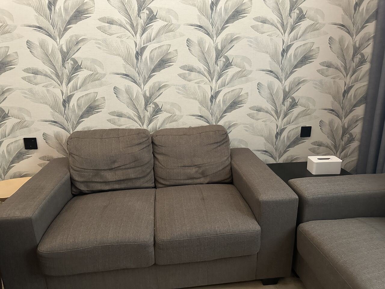 SAR 300, Home Box Sofa