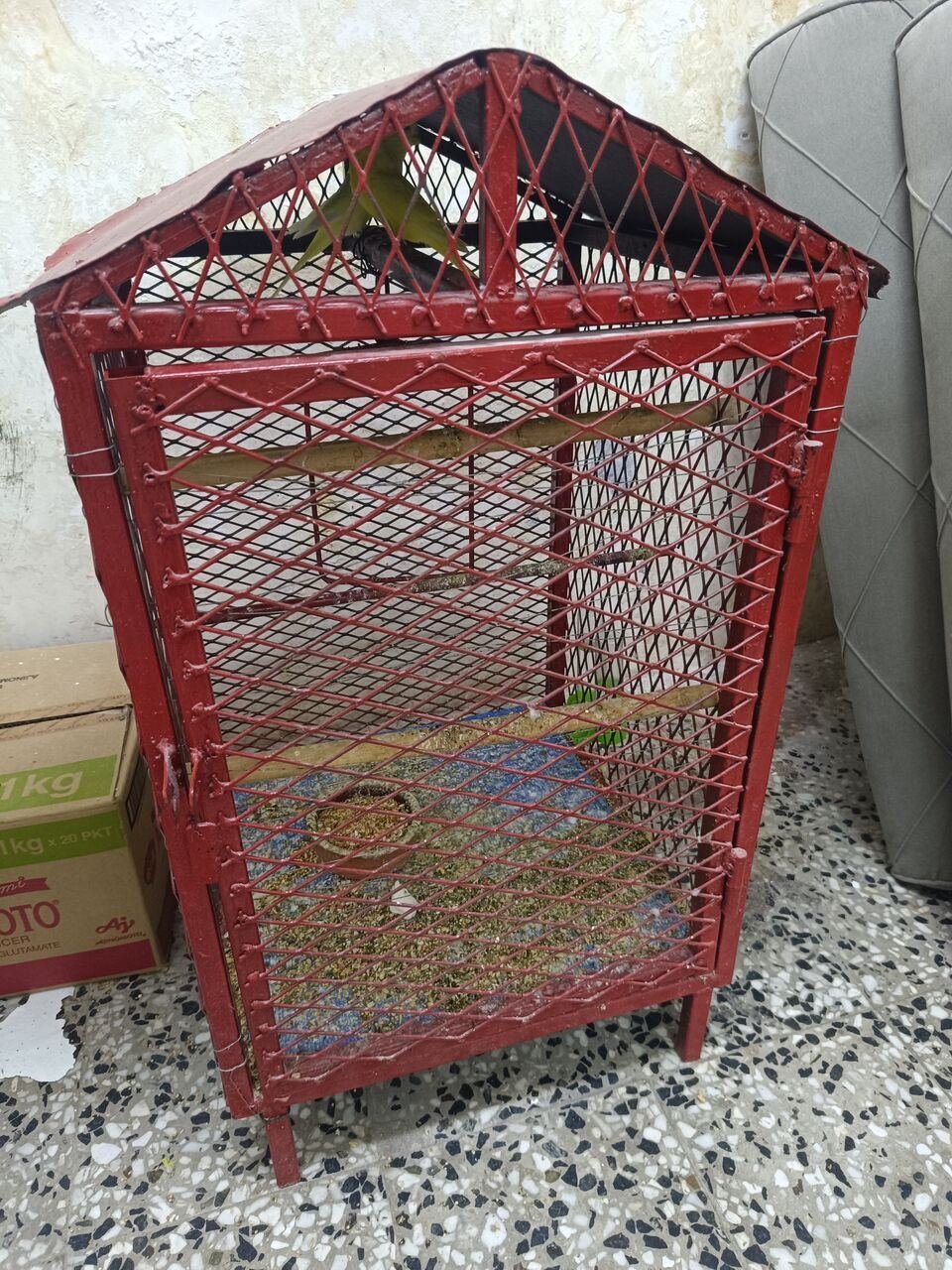 SAR 280, Steel Bird Cage With Red-Eye Budgerigar Breeding Pair – 280 SAR