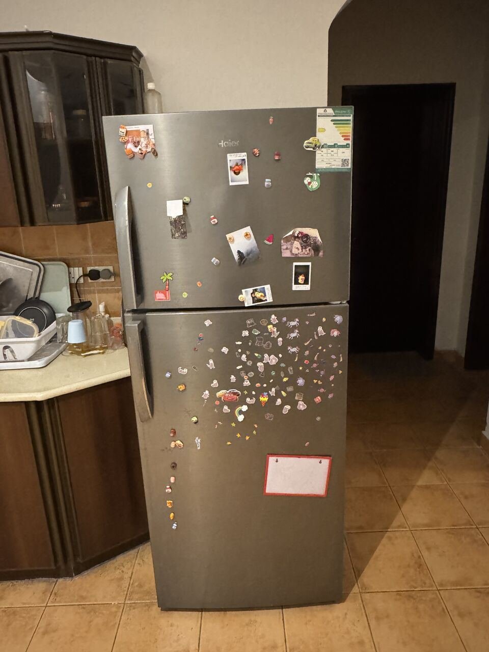 SAR 1100, Fridge Double Door
