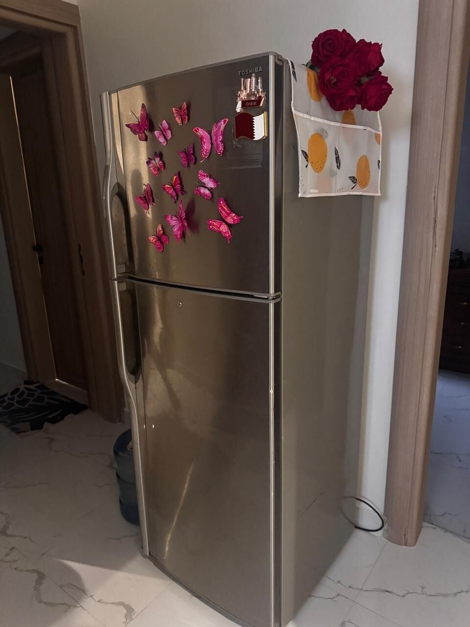 SAR 650, Refrigerator (Double Door) - TOSHIBA