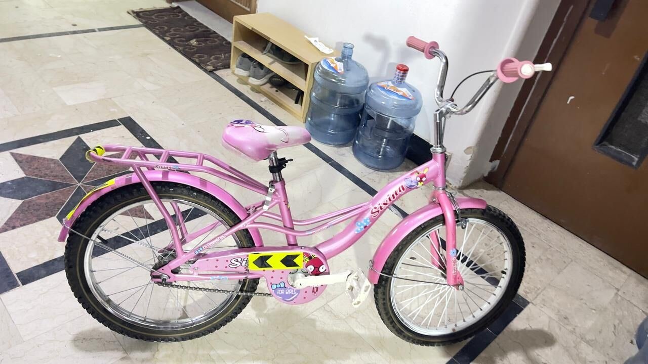 SAR 200, 21-inch Bicycle -single-speed (no Gear)