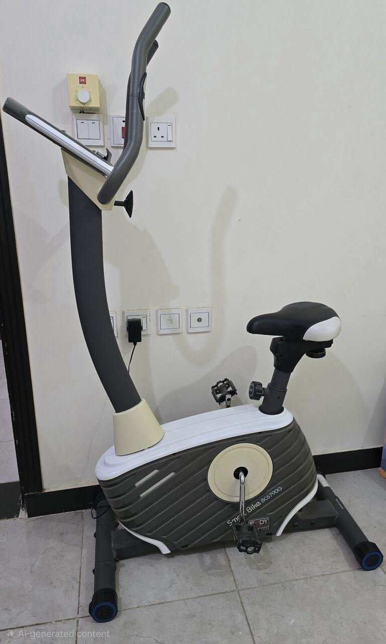 SAR 350, Exercise Cycle (perfect Working Condition)
