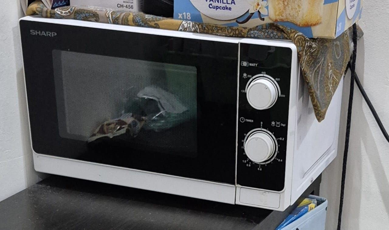 SAR 100, Sharp Microwave