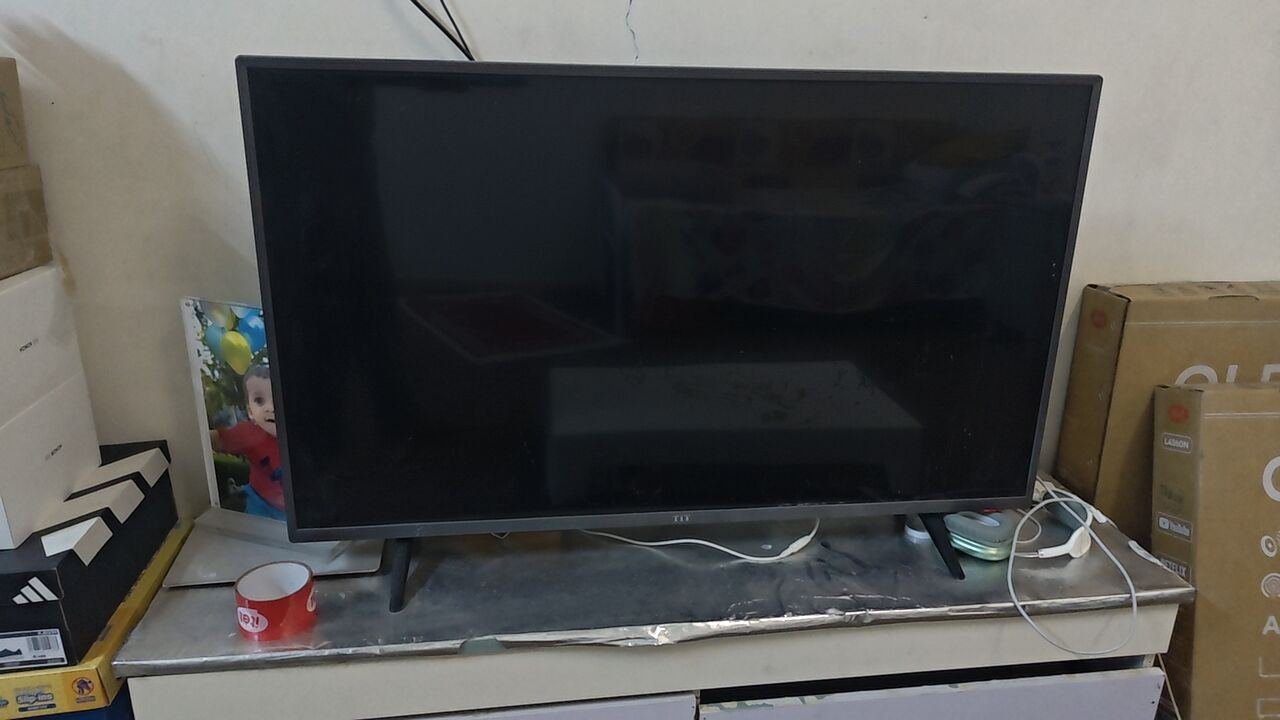 SAR 500, Chair,Table Artificial Plant,LCD