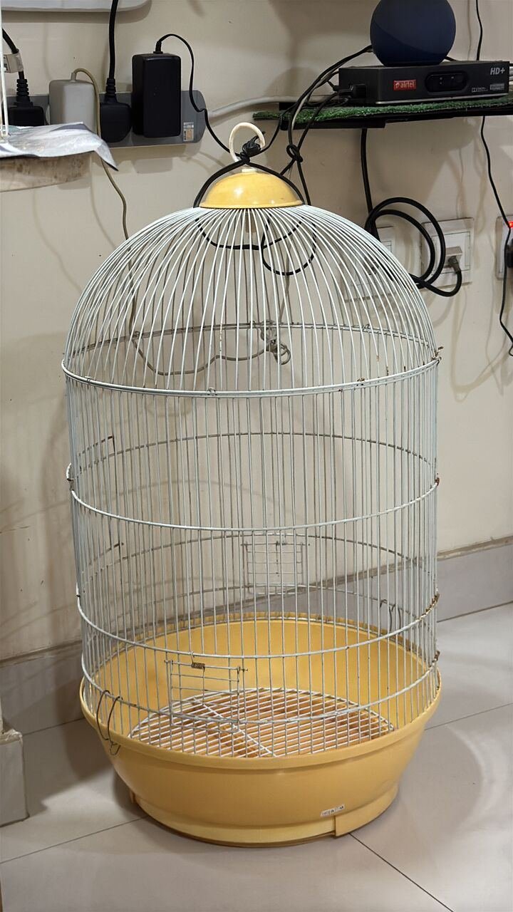 SAR 900, 4 Pair Of Birds + Cage + Accessories 0561870120
