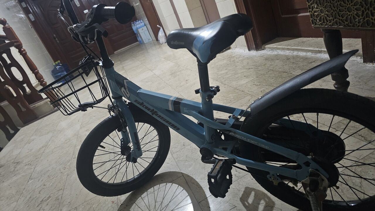 SAR 99, Cycle For Children SAR 99