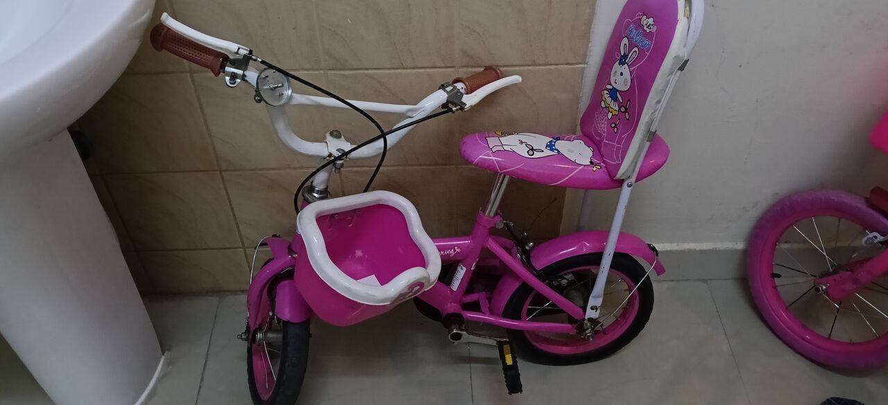 SAR 50, Bicycle Cycle