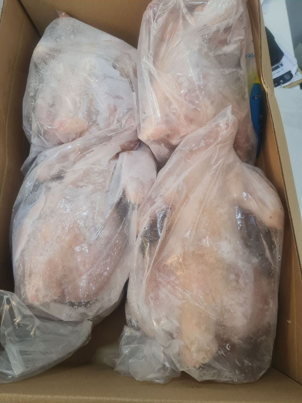 SAR 48, FOOD ITMES AVAILABLE