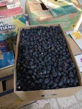 Ajwa Fresh Dates