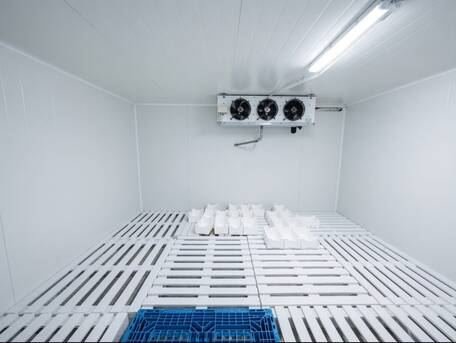 Frozen Room Multi Items Fruits Vegs Meats
