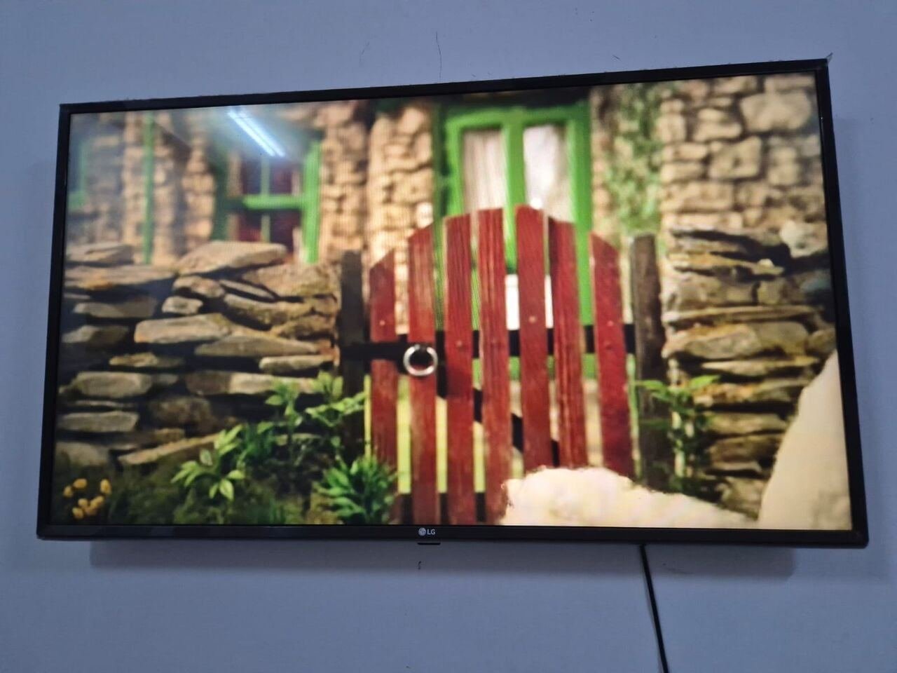 SAR 750, LG Smart TV