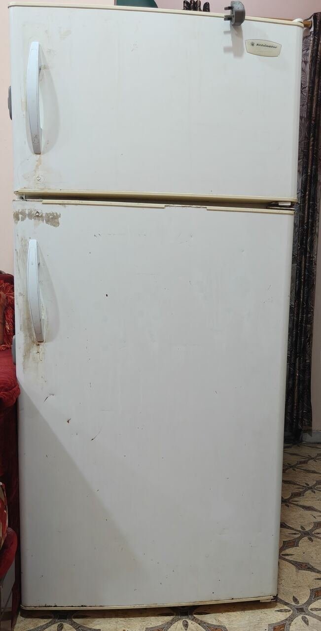 SAR 485, Kelvinator Refrigerator; Large; 12.7 Cu.ft (370 Liters)