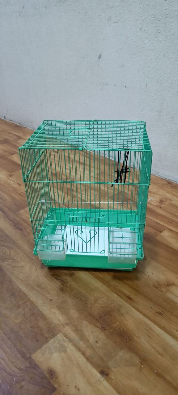 SAR 20, Neat And Cleaned Bird Cage