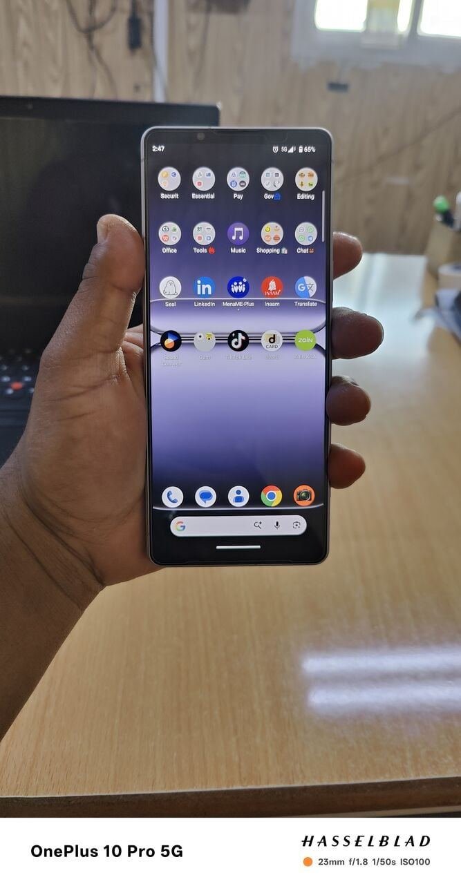 SAR 1700, Sony Xperia 1 V