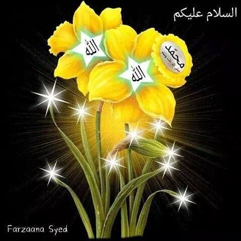 SAR 1, Seasonable Variety FOR SALE