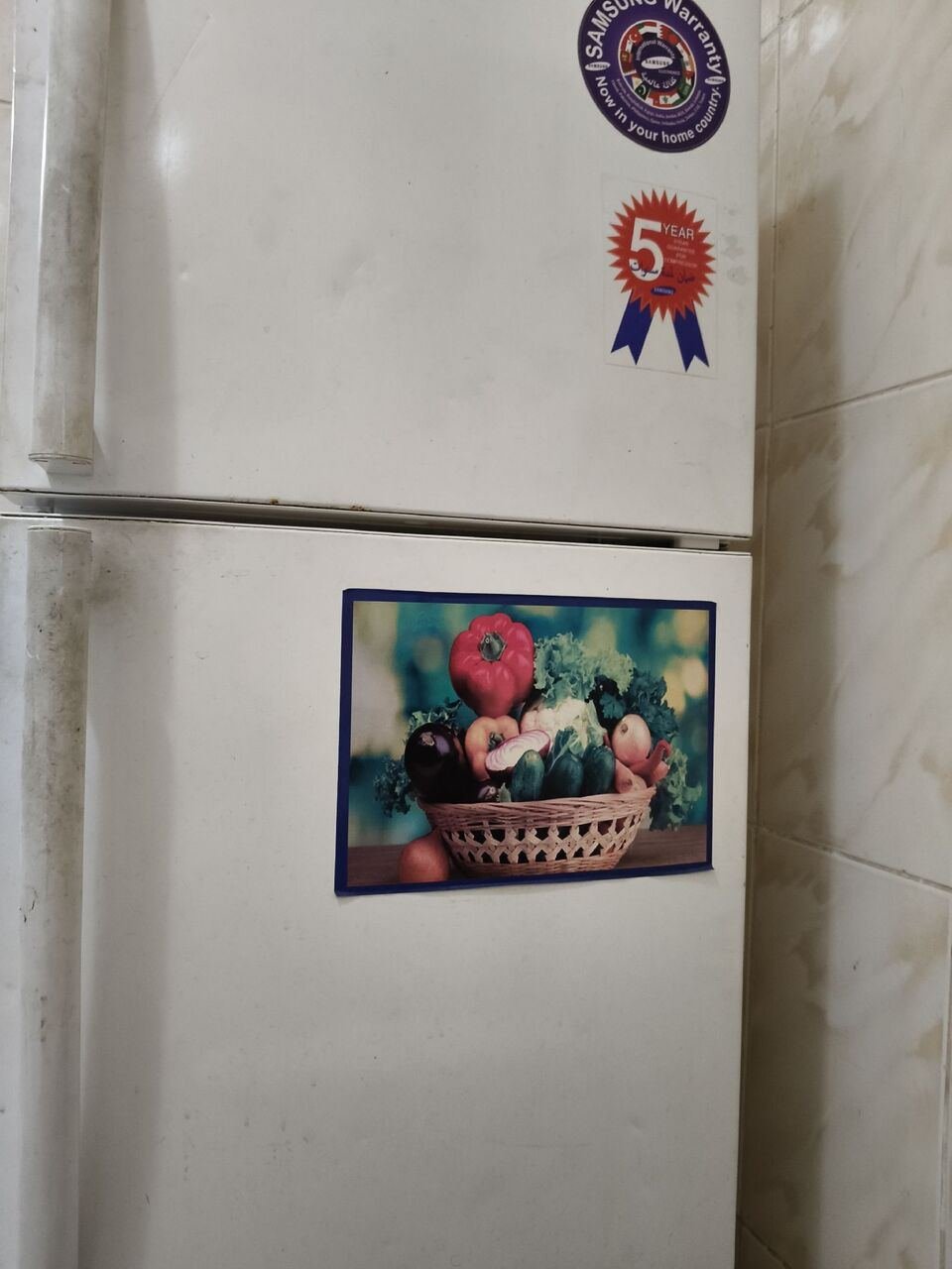 SAR 450, SAMSUNG Fridge