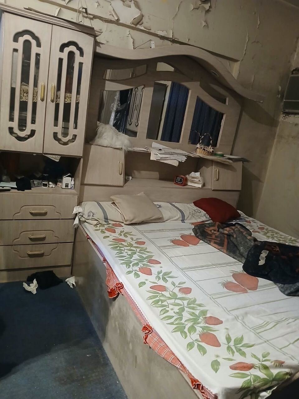 SAR 1, House Furnitures And Electronics