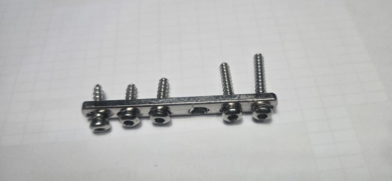 SAR 1000, Medical Titanium Plate With 5 Screws