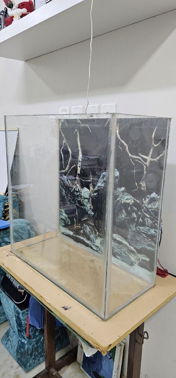SAR 350, Aquarium With Table