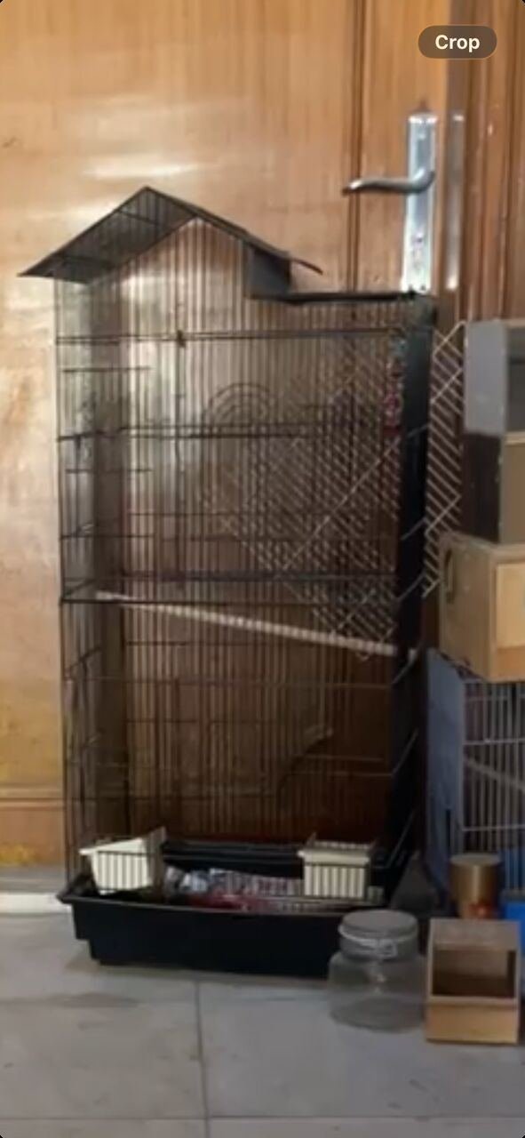 SAR 120, NEW BIG STEEL CAGE