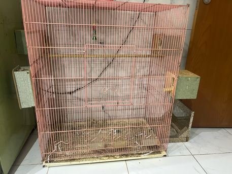 SAR 150, Parrot Cage Big Size