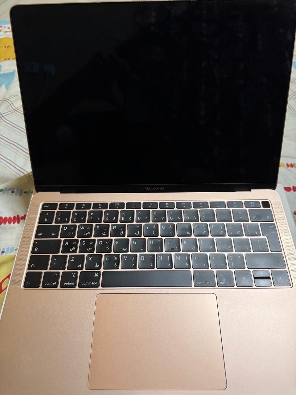 SAR 1600, Apple MacBook Air SAR 1600