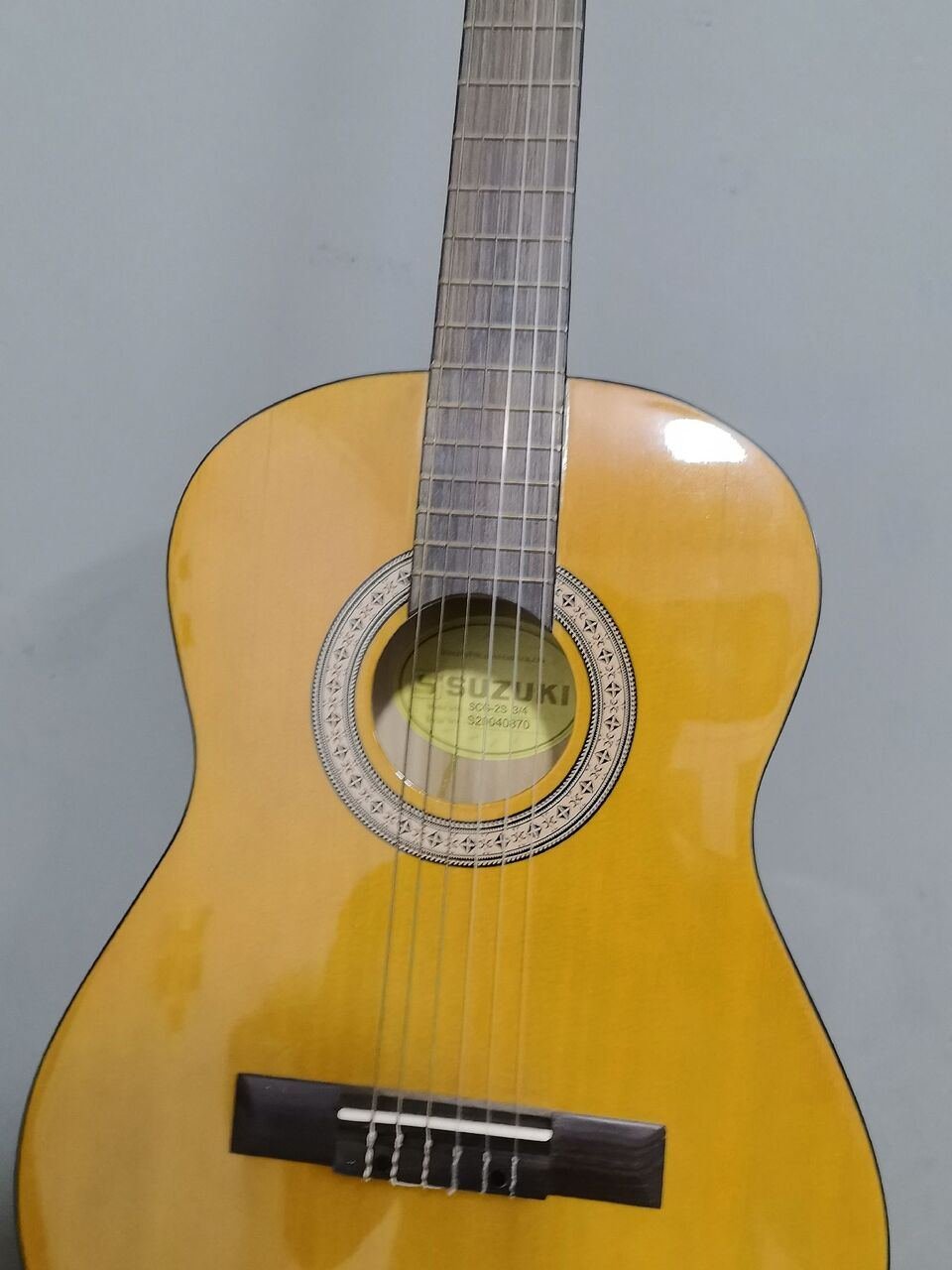 SAR 250, Suzuki Guitar