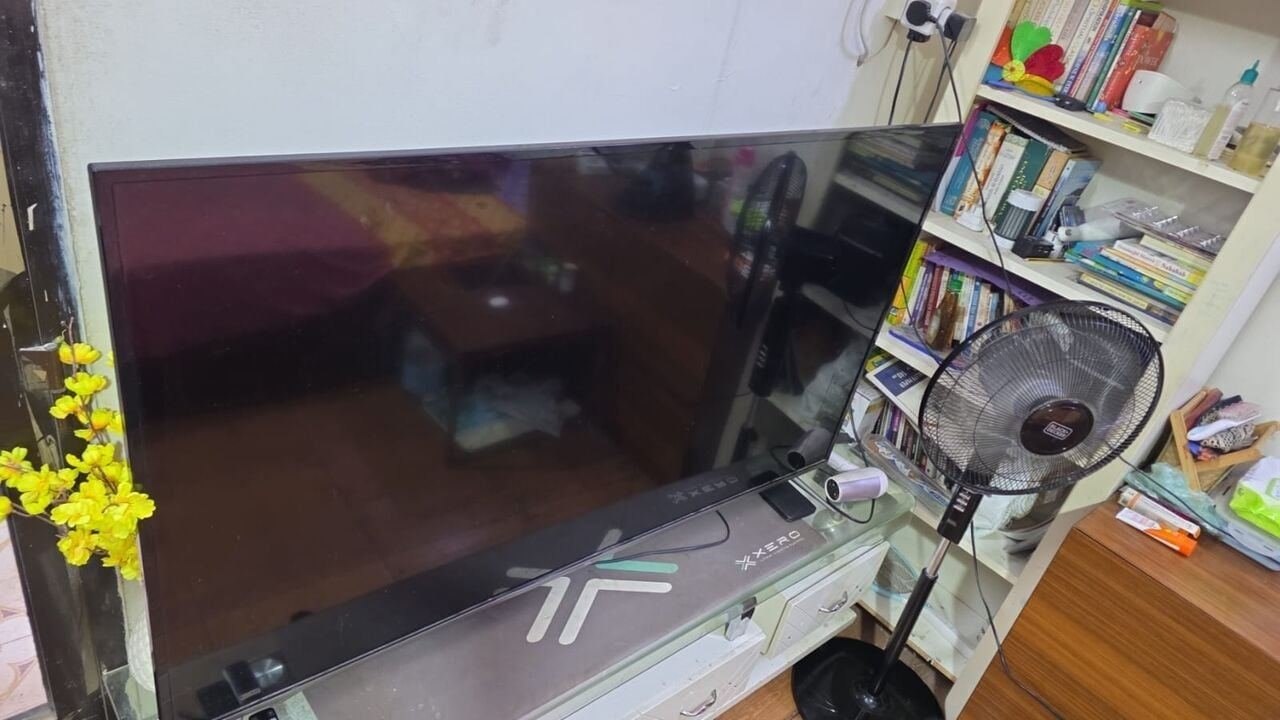 SAR 999, TCL 65 4K LED