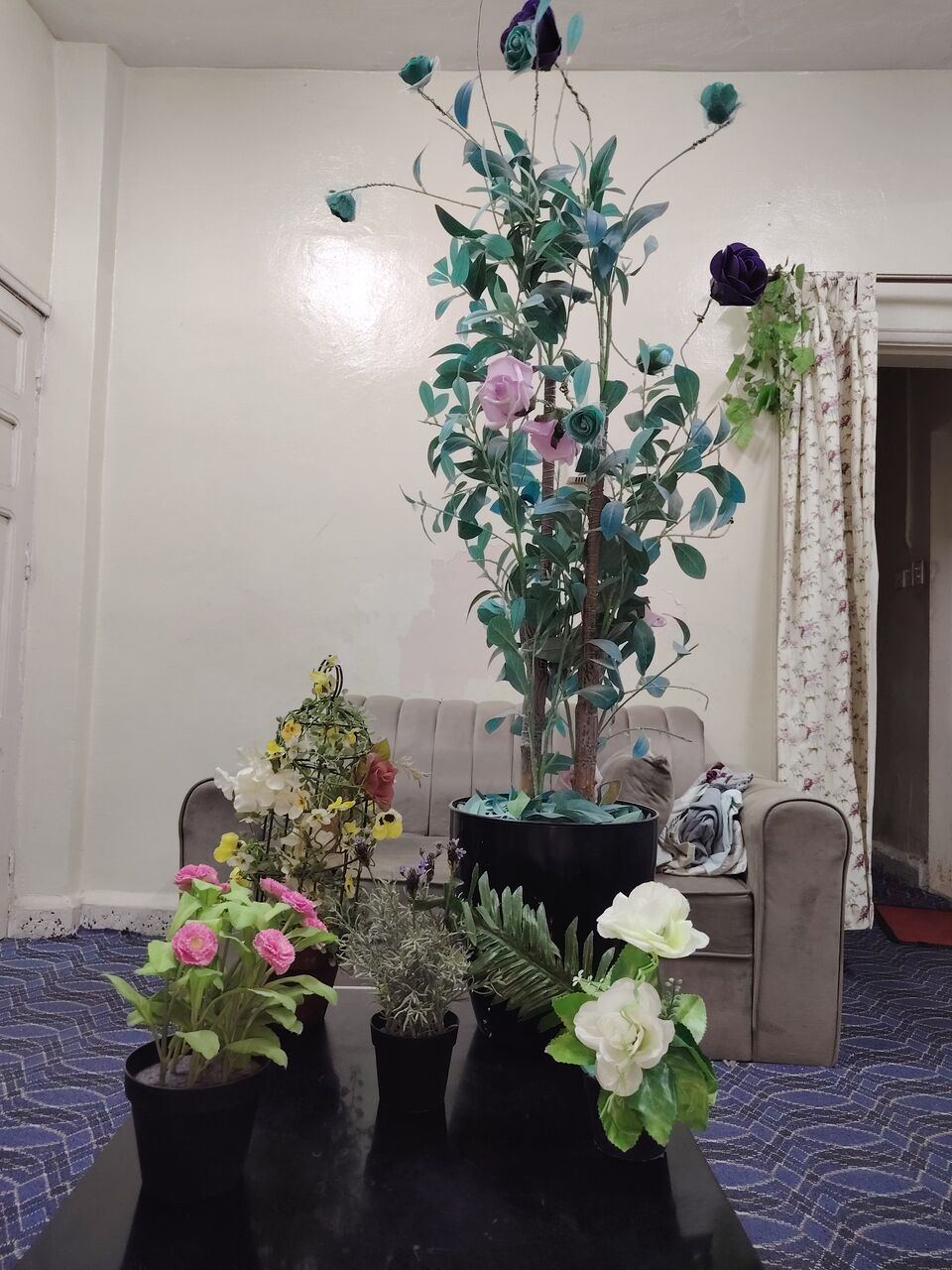 SAR 40, 5 Flower Pots