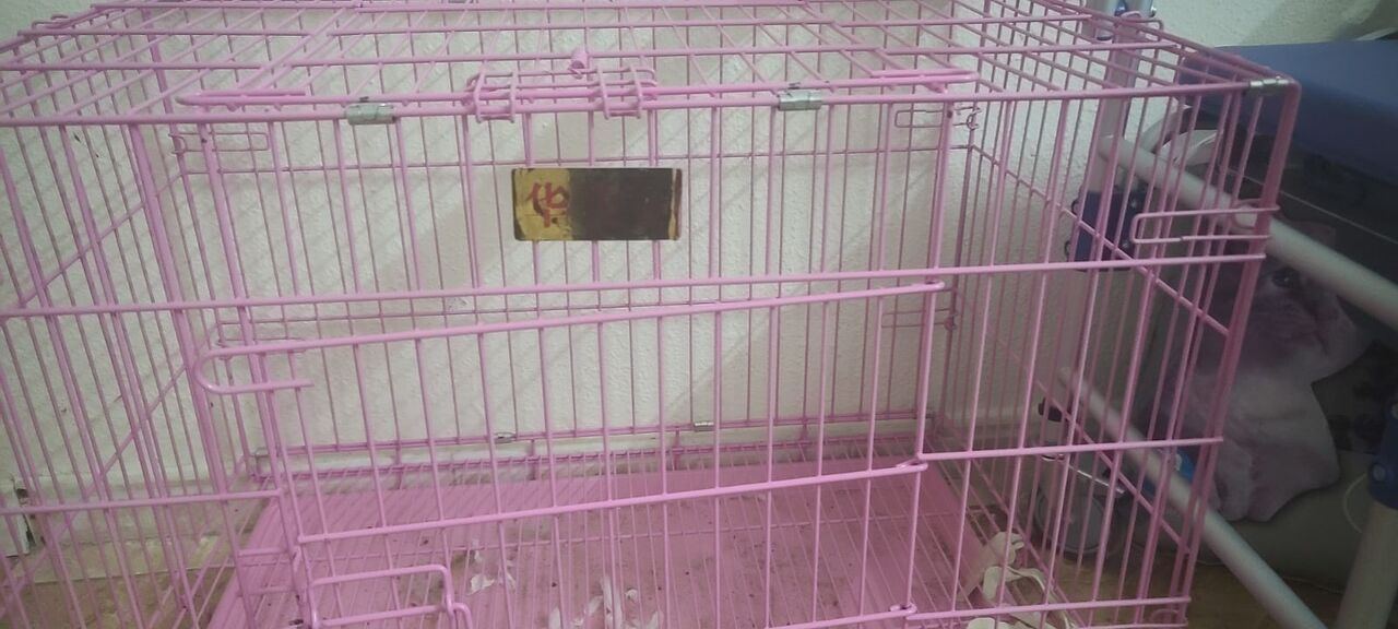SAR 200, Cat Cage