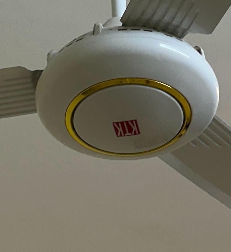 SAR 80, Cealing Fan